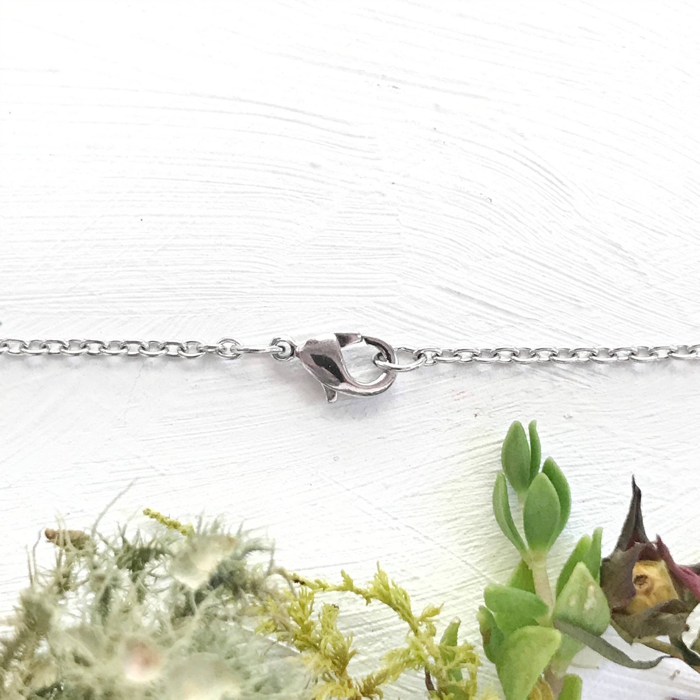 Sand Dollar Necklace